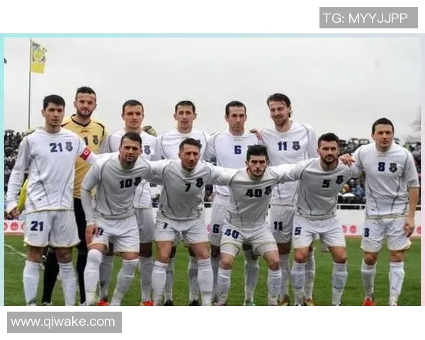 瑞典足球明星球员的辉煌历程与成就解析 瑞典足球明星球员的辉煌历程与成就解析