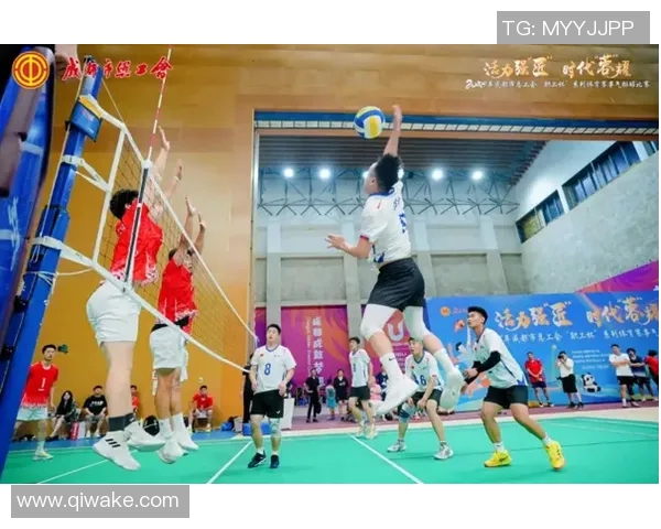 成都排球队迎来速度革命引发热议与关注